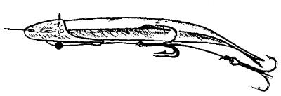 chinook-curved.gif (6899 bytes)